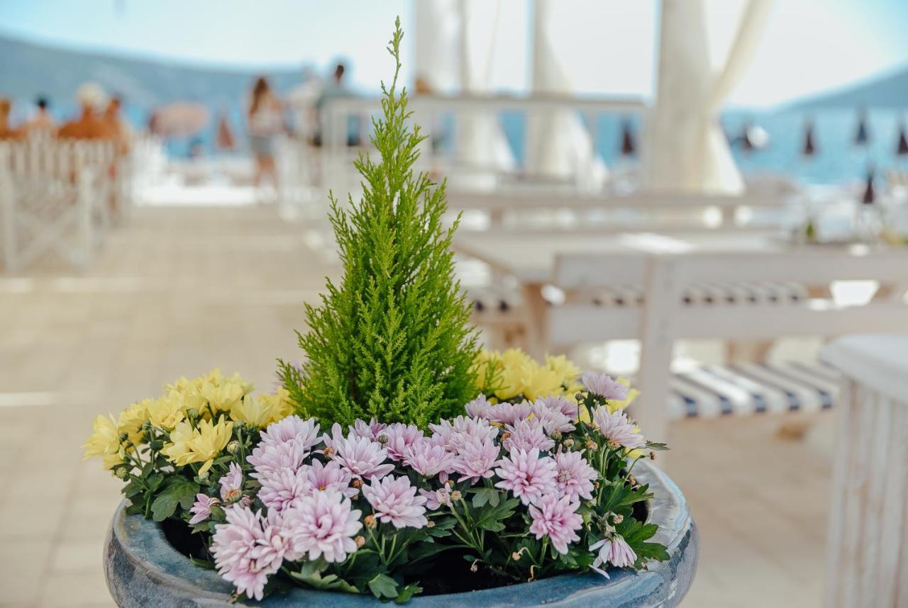 Apartmani Laban Herceg Novi Bagian luar foto